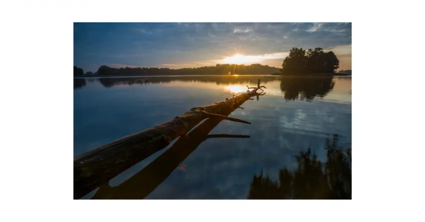 Healing power in the word of God